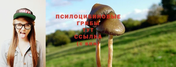 mdpv Сатка