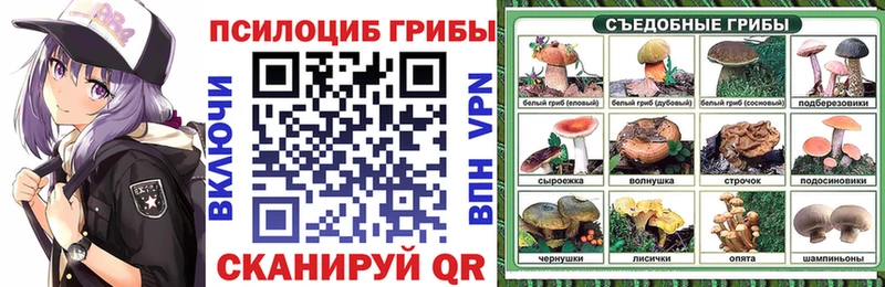 Псилоцибиновые грибы Psilocybine cubensis  Купить где  Слюдянка 